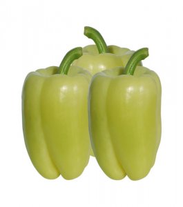 Bianca Macar Dolma Biber