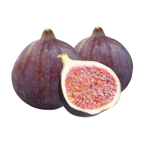 Ürün Resimleri